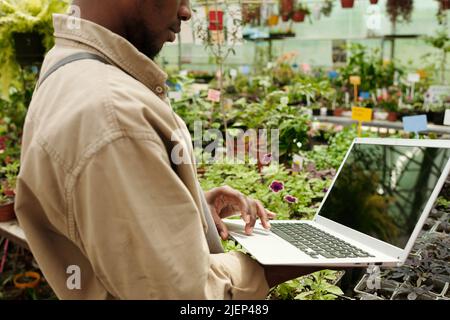 Primo piano di un fioraio che utilizza un computer portatile per controllare la crescita delle piante in serra Foto Stock