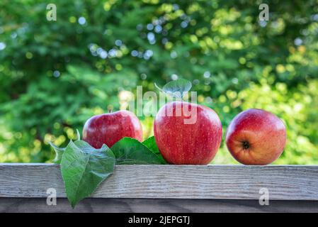Primo piano di mele rosse e foglie di melo su una vecchia superficie di legno. Tre frutti biologici appena raccolti con frutteto estivo non focalizzato Foto Stock