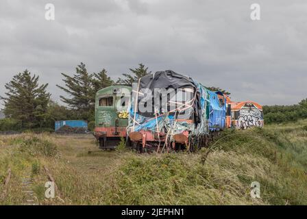 Moyasta Junction, Clare, Irlanda. 27th giugno 2022. Due locomotive diesel che ora sono di proprietà della West Clare Railway e sono destinate al restauro a Moyasta Junction, Co. Clare, Irlanda. - Foto David Creedon Foto Stock