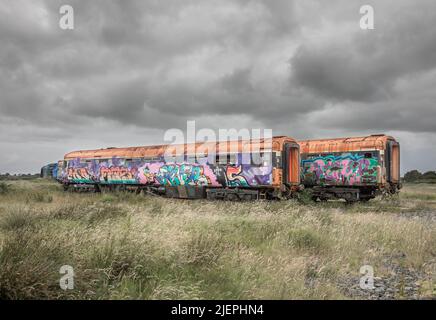 Moyasta Junction, Clare, Irlanda. 27th giugno 2022. Carreggiate che un tempo facevano parte del materiale rotabile per la Irish Rail e sono ora destinate al restauro da parte della West Clare Railway a Moyasta Junction, Co. Clare, Irlanda. - Foto David Creedon Foto Stock