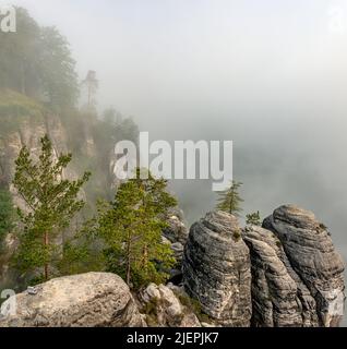 Vista mistica dalla formazione rocciosa del ponte di Bastei nella nebbia mattutina, Sassonia Svizzera, Sassonia, Germania Foto Stock