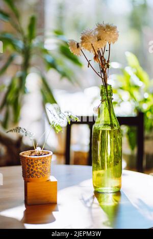 Composizione di bouquet di fiori bianchi crisantemi in bottiglia verde trasparente e felce di piante domestiche in vaso marrone con puntini neri su cubo di legno Foto Stock