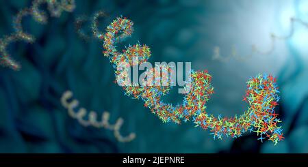 Filamenti di acido ribonucleico costituiti da nucleotidi importanti per la biosintesi proteica - illustrazione 3d Foto Stock