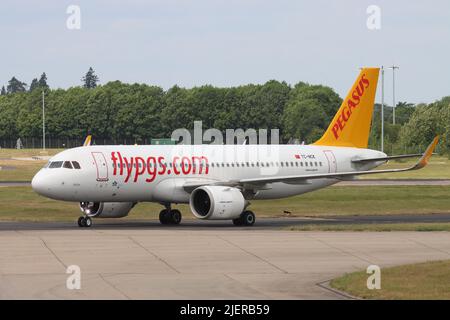 Pegasus Airways, Airbus A320 TC-NCK, arrivando all'aeroporto di Stansted, Essex, Regno Unito Foto Stock