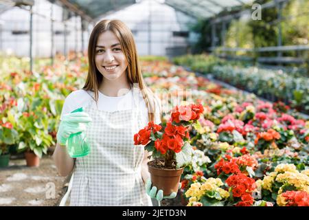 Giovane donna fiorista spruzzando acqua su piante di casa in vasi di fiori da spruzzatore. Foto Stock