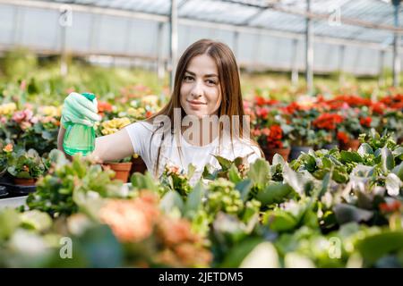 Giovane donna fiorista spruzzando acqua su piante di casa in vasi di fiori da spruzzatore. Foto Stock