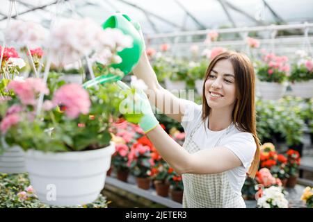 Una giovane donna si erge nel mezzo di una grande serra e versa i vasi da una lattina d'acqua. Foto Stock