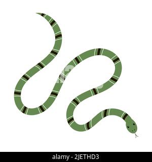 Serpente verde velenoso. Un rettile esotico con un motivo a strisce. Animale tropicale selvatico. Fauna e fauna. Illustrazione piatta vettoriale isolata su bianco Illustrazione Vettoriale