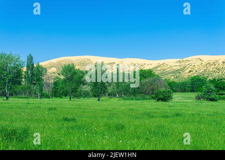 verde valle fiorita con una grande duna di sabbia sullo sfondo Foto Stock