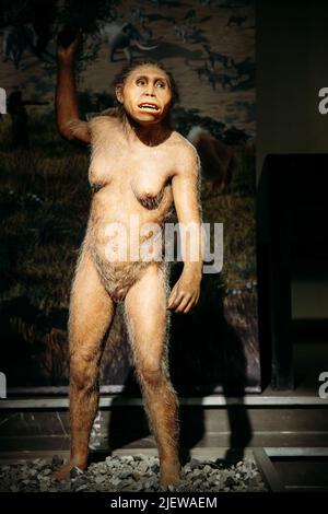 Tbilisi, Georgia. Museo Nazionale Georgiano. Installazione dimostrante l'antenato preistorico della donna Homo Neanderthalensis. Homo Neanderthalensis FEMA Foto Stock