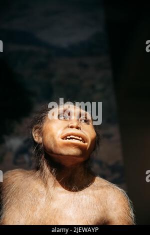 Homo Neanderthalensis Donna Preistorica al Museo Exhibition. Tbilisi, Georgia. Museo Nazionale Georgiano. Installazione dimostrante Prehis Foto Stock