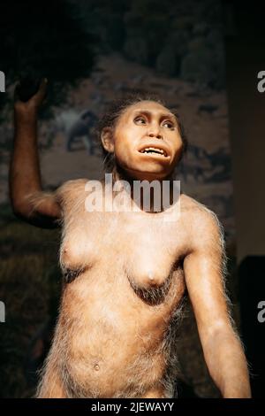 Homo Neanderthalensis Donna Preistorica al Museo Exhibition. Installazione dimostrante l'antenato preistorico di Donna Homo Neanderthalensi Foto Stock