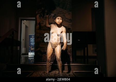Installazione dimostrante l'antenato preistorico della donna Homo Neanderthalensis. Homo Neanderthalensis Donna Preistorica al Museo EXHIBITIO Foto Stock