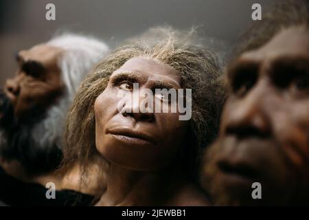 Dimostrazione degli antenati preistorici Homo Neanderthalensis. Ricostruzione dell'aspetto Homo Neanderthalensis al Museo Exhibition. Donna preistorica. Foto Stock