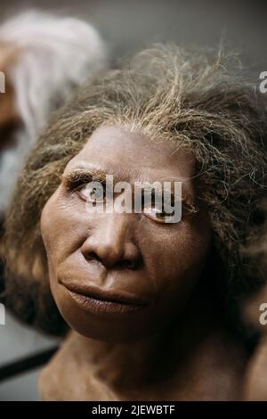 Ricostruzione dell'aspetto Homo Neanderthalensis Donna al Museo Exhibition. Donna preistorica. Dimostrazione dell'antenato preistorico Homo Neanderthale Foto Stock