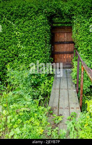 Porta o cancello in legno massiccio adagiato in un'alta siepe, con accesso su un piccolo vecchio ponte in legno Foto Stock