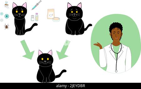 raccolta di un gatto nero malato, sano, e grasso con una donna veterinaria nera che spiega dieta gatto cibo, iniezione, medicina, e virus. Foto Stock