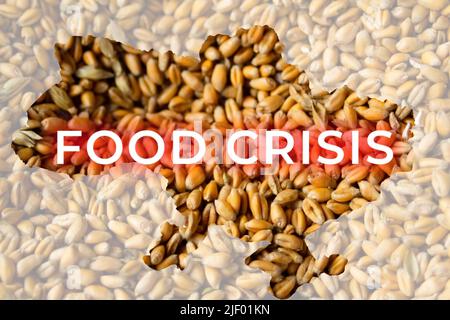 Crisi alimentare. Crisi globale ed europea del grano e del grano in Ucraina. Esporta grano. Disegno di parola. Agricoltura: Avena, orzo, segale. Depressione economica. Grafico, Foto Stock