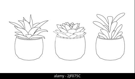 Interni eco-compatibili con succulenti in stile lineare semplice. Illustrazione del tratto vettoriale modificabile Illustrazione Vettoriale