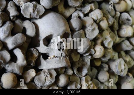 Teschi umani e ossa Foto Stock
