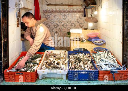 Marocco Fez. Pescivetta nella Medina Foto Stock