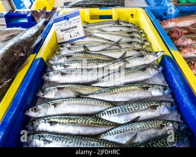 PESCA DELLO SGOMBRO CATTURE FRANCESE MERCATO DEL PESCE FRANCIA sgombro pesce interfogliato ordinatamente visualizzato e prezzo in euro per la vendita presso EU French Breton mercato del pesce stallo in Moëlan sur Mer Bretagna Francia Foto Stock