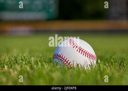 Vista della messa a fuoco selettiva ad angolo basso di un baseball in erba con recinzione all'esterno sullo sfondo Foto Stock