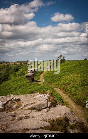 Le formazioni rocciose naturali di Bridestones create dall'erosione nella Foresta di Dalby, North Yorkshire, Regno Unito Foto Stock