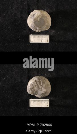 Hindia anornata (padiglione, 1863). Foto Stock