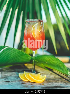 Cocktail rosso ghiaccio tropicale con fette d'arancia su un tavolo di legno con foglie di palma durante l'ora d'oro con luce del tramonto nel bar sul tetto di Tulum Foto Stock