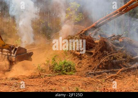 Disastro naturale incendio forestale, trattore che addormentano sabbia per fuoco Foto Stock