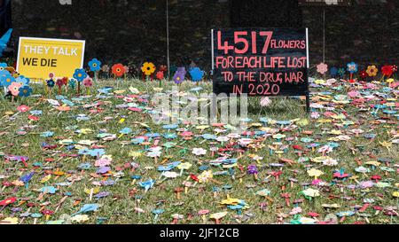Londra, Regno Unito. 28th giugno 2022. Al di fuori del Parlamento, 4.517 fiori sono stati piantati per ogni vita persa a causa della guerra della droga nel 2020. Famiglie, amici e altri legati alla carità Anyone's Child: Families for Safer Drug Control rally al di fuori del Parlamento a Westminster oggi la carità sostiene coloro le cui vite sono state distrutte dalle leggi vigenti sulle droghe e ora stanno facendo una campagna per cambiarle. Credit: Imagplotter/Alamy Live News Foto Stock