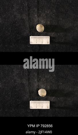 Hindia anornata (padiglione, 1863). Foto Stock