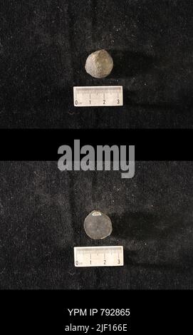 Hindia anornata (padiglione, 1863). Foto Stock