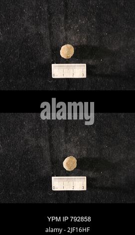 Hindia anornata (padiglione, 1863). Foto Stock