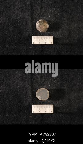 Hindia anornata (padiglione, 1863). Foto Stock