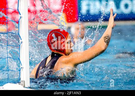 BUDAPEST, UNGHERIA - 28 GIUGNO: Laura Aarts dei Paesi Bassi durante i campionati mondiali FINA Budapest 2022 Quarter Final match Grecia / Paesi Bassi il 28 giugno 2022 a Budapest, Ungheria (Foto di Albert ten Hove/Orange Pictures) KNZB Foto Stock