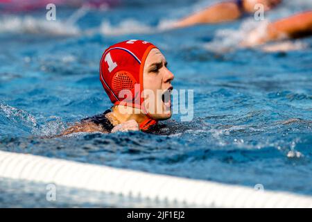 BUDAPEST, UNGHERIA - 28 GIUGNO: Laura Aarts dei Paesi Bassi urlando durante i campionati mondiali FINA Budapest 2022 Quarter Final match Grecia / Paesi Bassi il 28 giugno 2022 a Budapest, Ungheria (Foto di Albert ten Hove/Orange Pictures) KNZB Foto Stock