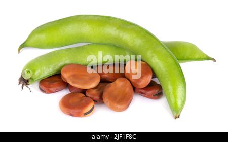 Fave fresche in cialde, isolate su sfondo bianco. Fagioli di fava asciutti Foto Stock