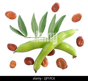 Fave verdi fresche in cialde, isolate su sfondo bianco. Fagioli di fava asciutti. Vista dall'alto Foto Stock