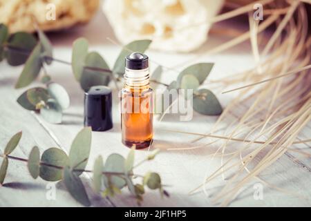 Cosmetici naturali fatti a mano - bottiglia con bastoncino di olio essenziale con ramificazione di eucalipto e prodotti di bellezza Foto Stock