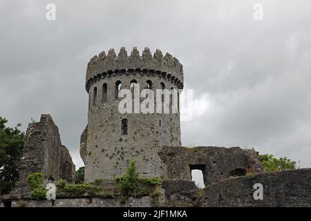 Torrente circolare del Castello di Nenagh nella contea Tipperary Foto Stock