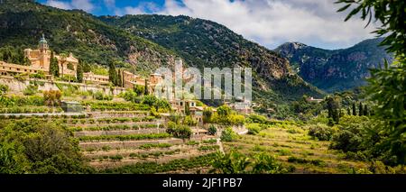 Vista sulla valle di Valldemossa a Maiorca con boschetti terrazzati e le torri del monastero chiesa Iglesia de la Cartuja e palazzo Foto Stock