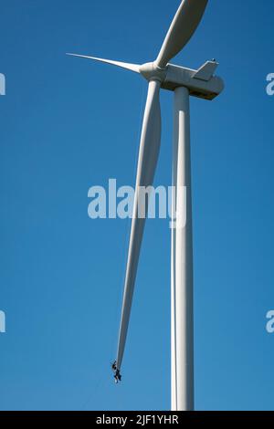 Due uomini in imbracature di sicurezza lavorano su una lama di mulino a vento sfumata mentre sospeso dall'alto. Foto Stock