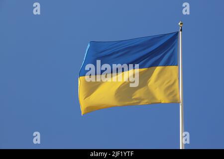 Vista ravvicinata della bandiera nazionale Ucraina contro un cielo blu chiaro. Foto Stock