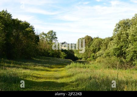 Una piccola valle secca in gesso Nord Downs tra Andrews Wood e Meenfield Wood vicino al M25 e Shoreham villaggio, Kent. Adiacente alla Darent Valley Foto Stock