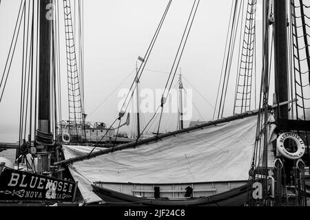 Formazione dei membri dell'equipaggio della goletta Bluenose II a Lunenburg, Nuova Scozia, Canada. Foto Stock