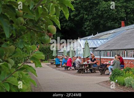 Grappenhall Heys murato giardino, Witherwin Avenue Grappenhall, South Warrington, Cheshire, Inghilterra, REGNO UNITO, WA4 3DS Foto Stock
