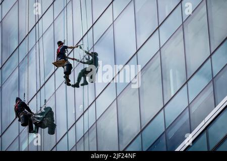 I pulitori delle finestre funzionano mentre sono sospesi dalla parte superiore dell'edificio. Foto Stock