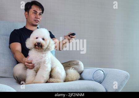 Adorabile sorridente bianco cuccioli cane seduta e rilassarsi sul divano blu mentre rimanere a casa con il proprietario quando si guarda la TV. Foto Stock